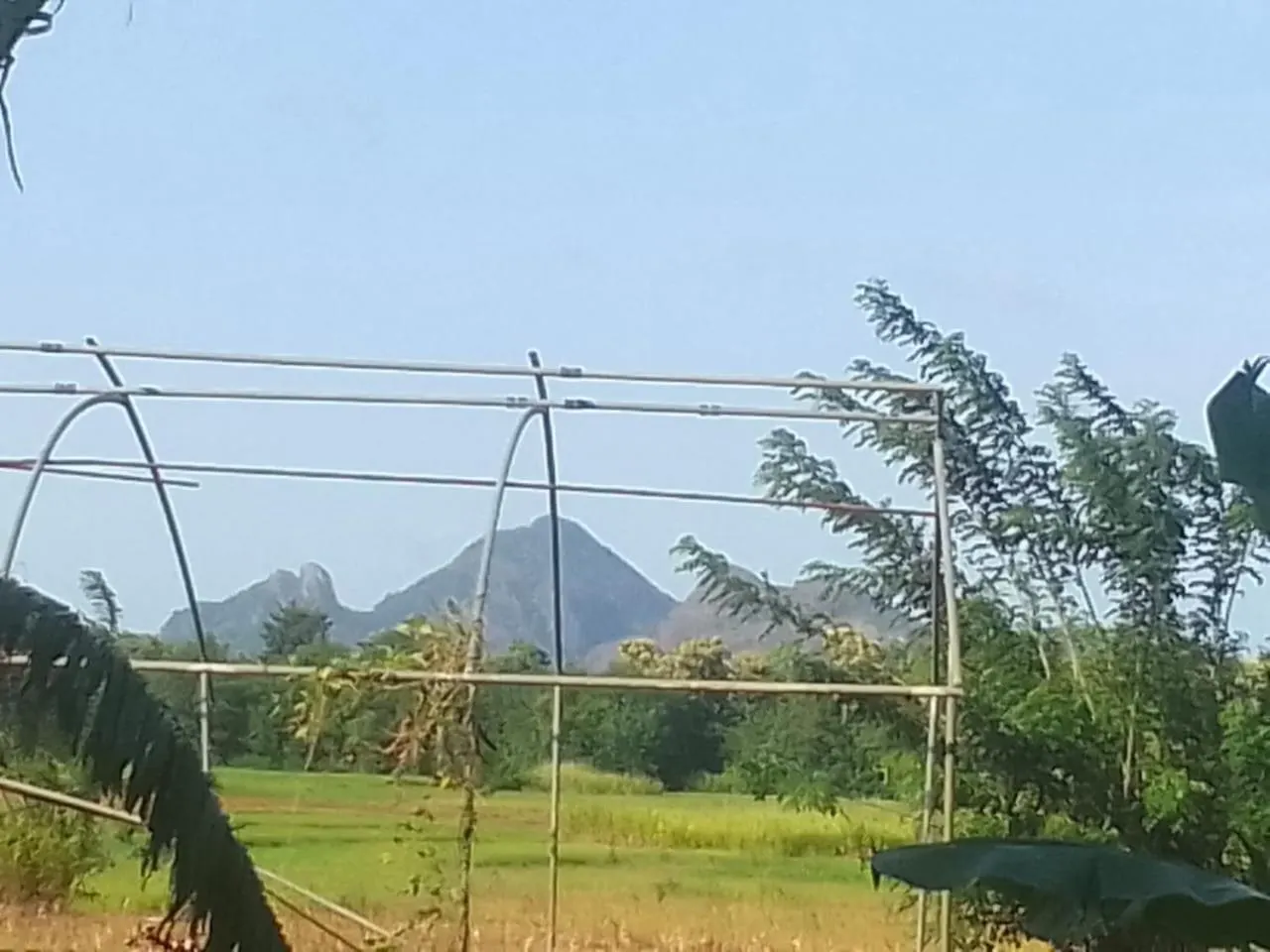 Winstar Homestay Sigiriya