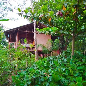 Akash Treehouse Sigiriya