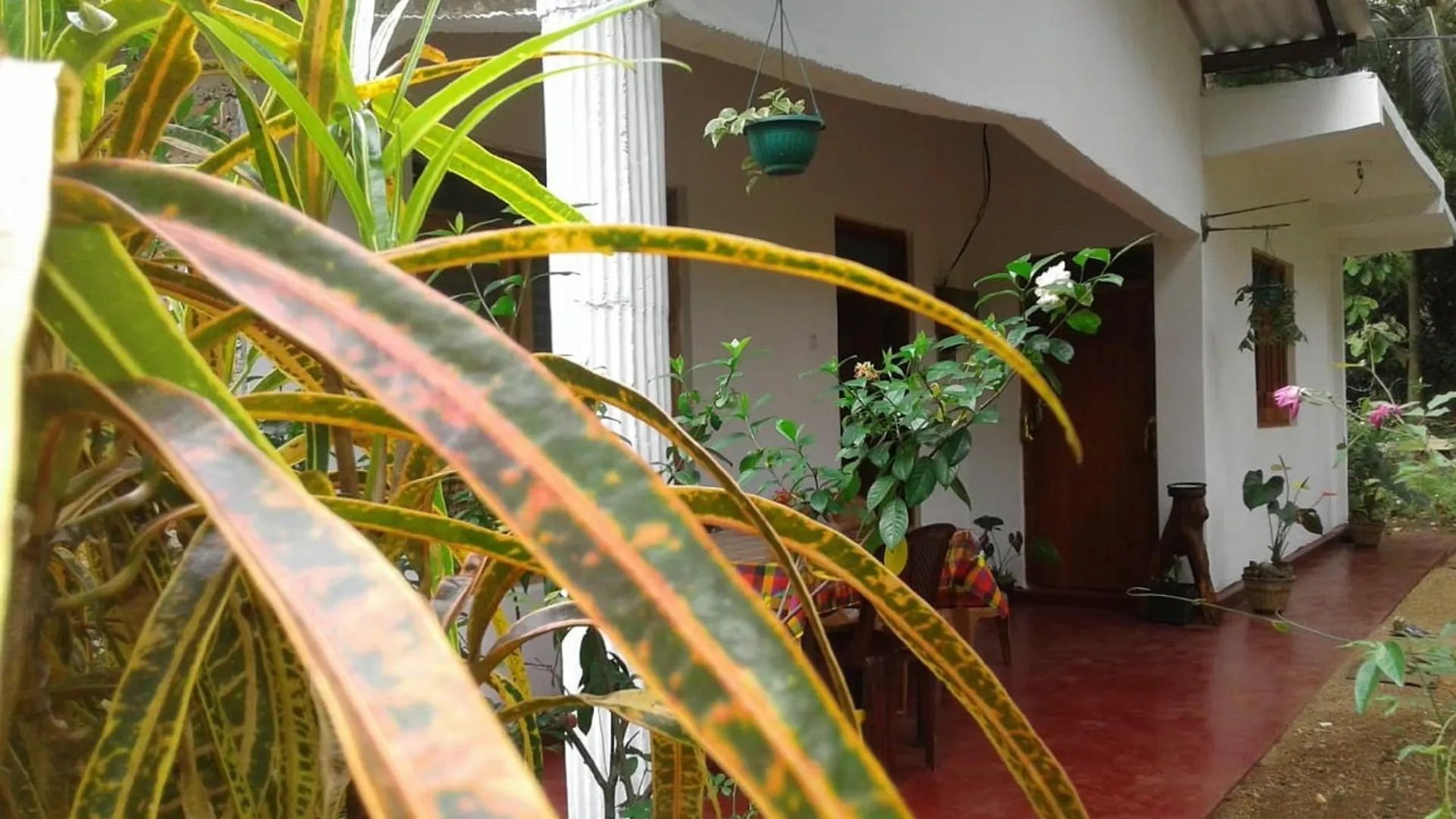 Winstar Homestay Sigiriya